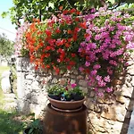 Apartament Grapes Malinska