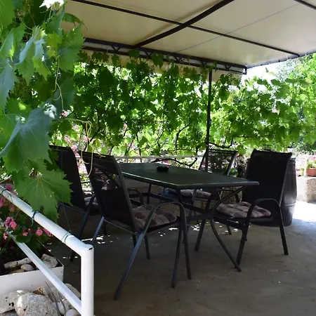 Sabina I Grapes *