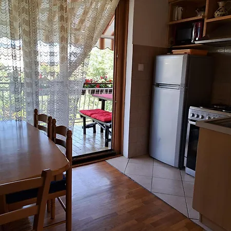 Sabina I Grapes * マリンスカ