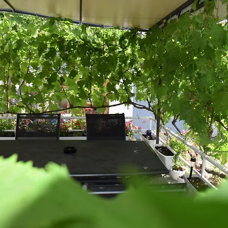 Apartman Apartment Grapes