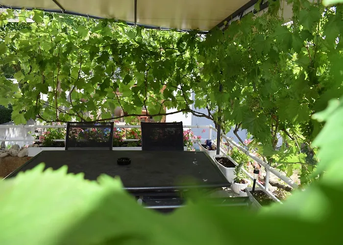 Apartman Apartment Grapes