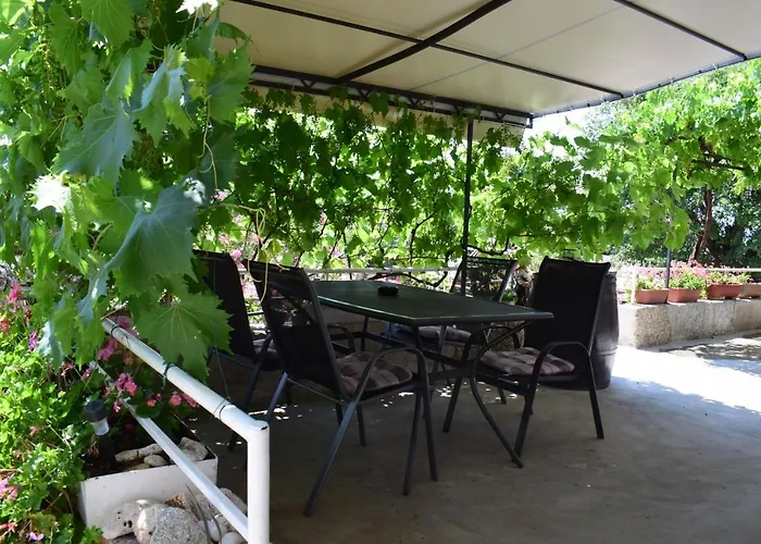Sabina I Grapes *