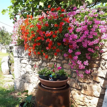 Apartament Sabina I Grapes Malinska