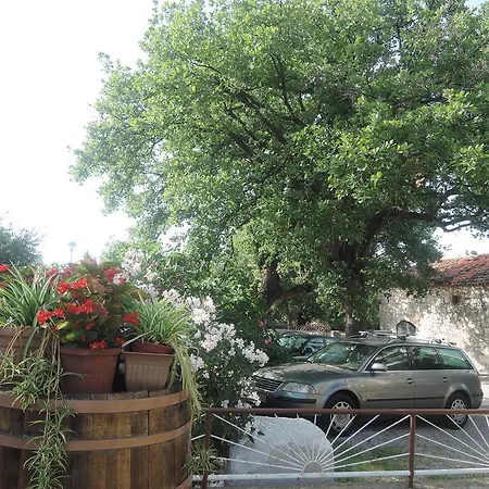 Sabina I Grapes Apartment *